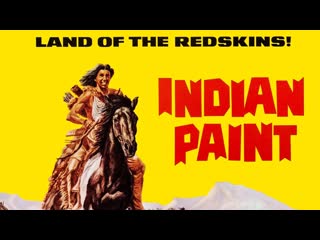 1965 - piebald colt - indian paint